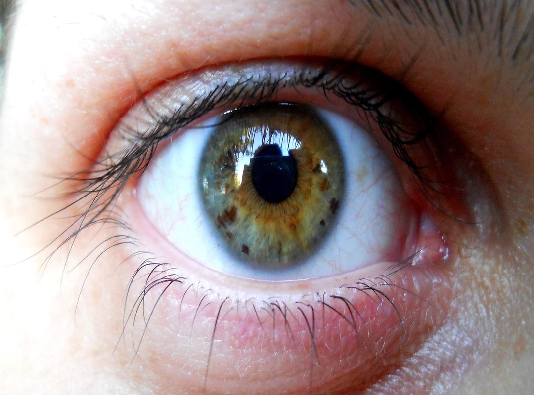 Kage's Role in the Story