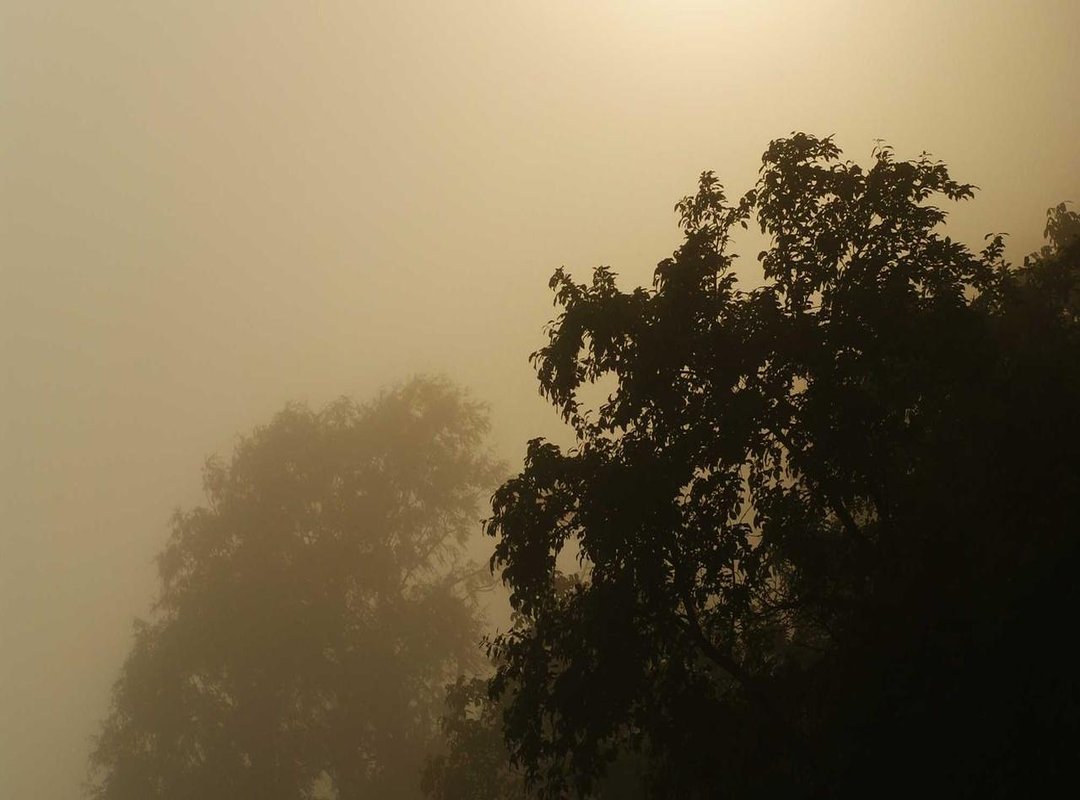 What Does 335 Pounds (or 152 kg) Actually Look Like?