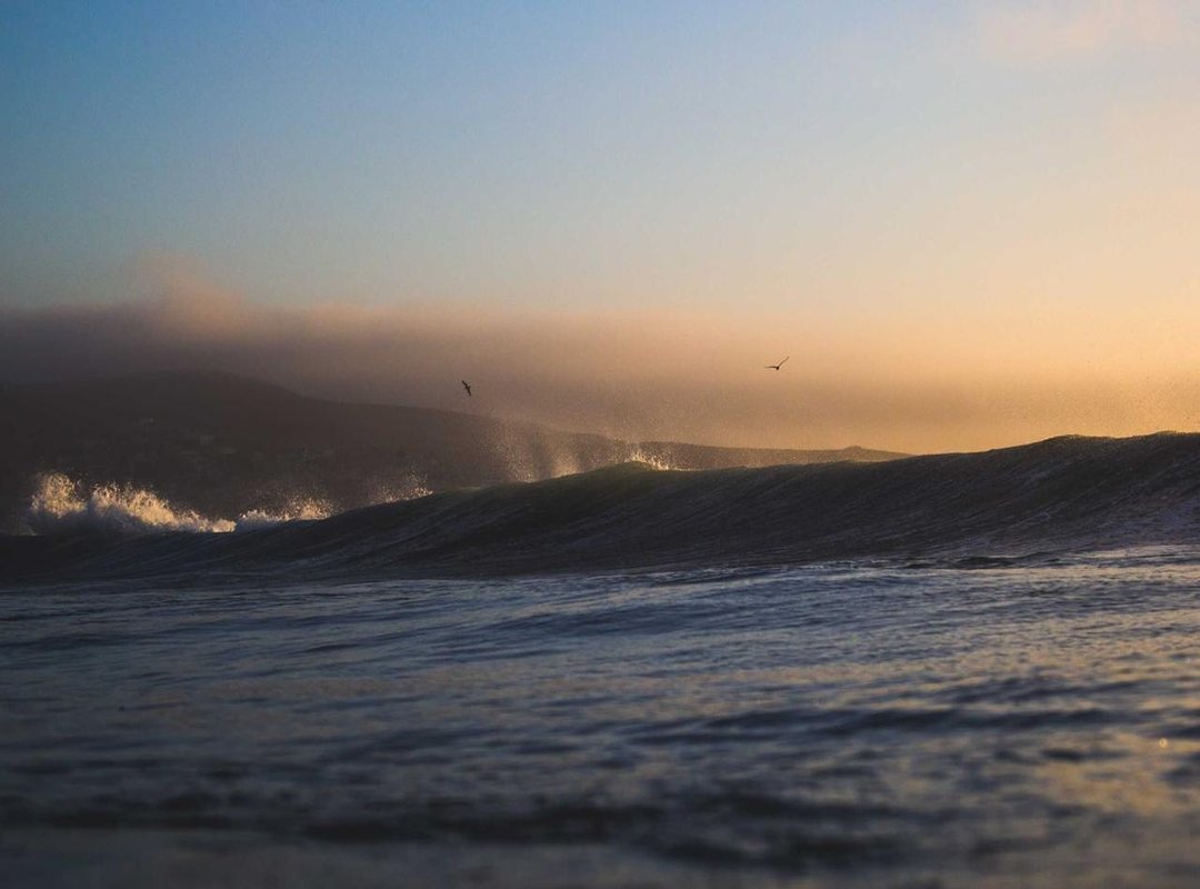 Frequently Asked Questions (FAQs)