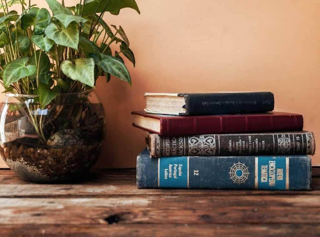 books frugal living