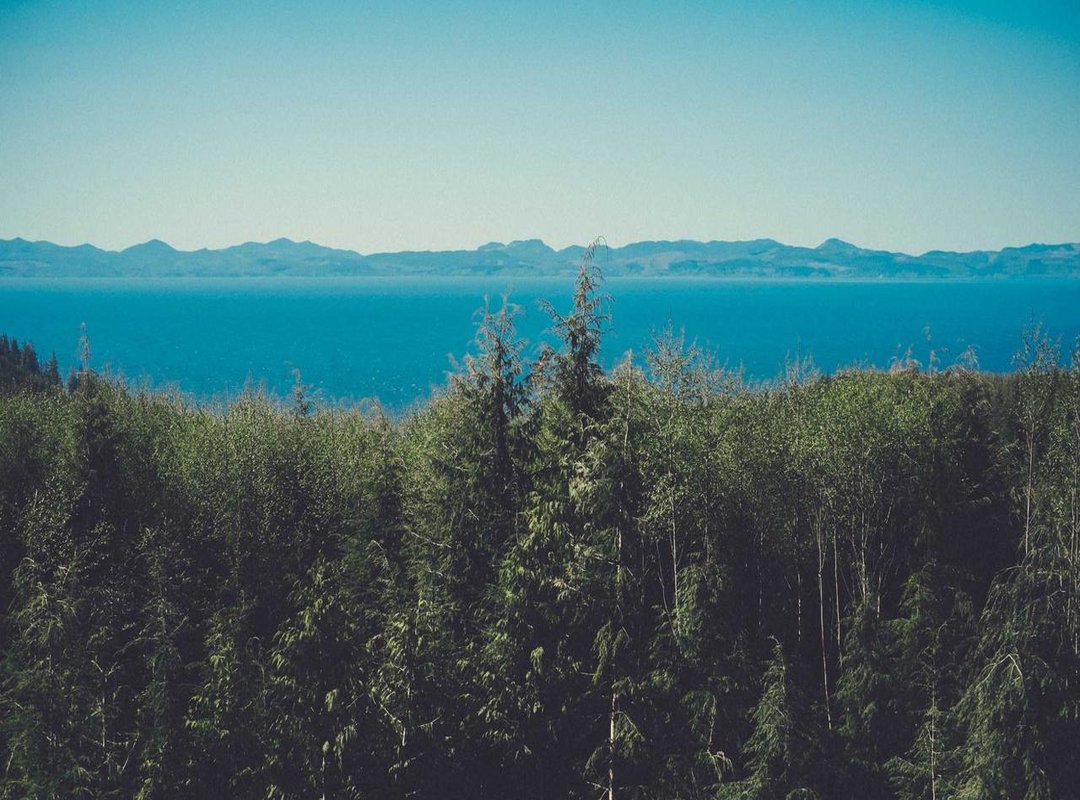 Frequently Asked Questions (FAQs) About the Dark Wanderer