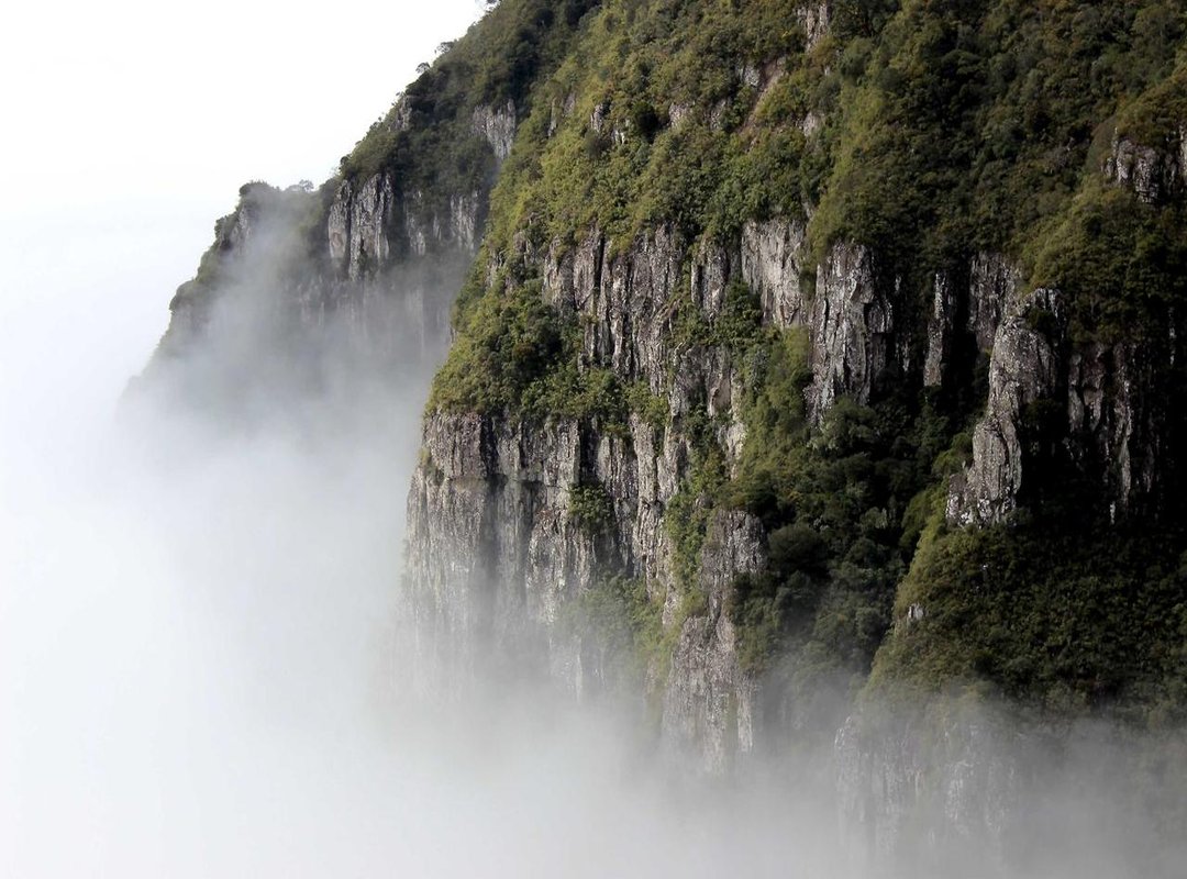 Comparing Your Options: Price, Selection, and Convenience