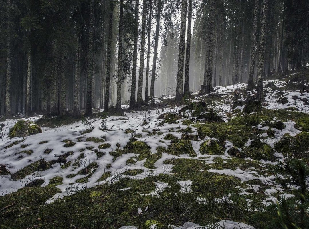 The Case Reopened: What the 2023 Exhumation Finally Revealed