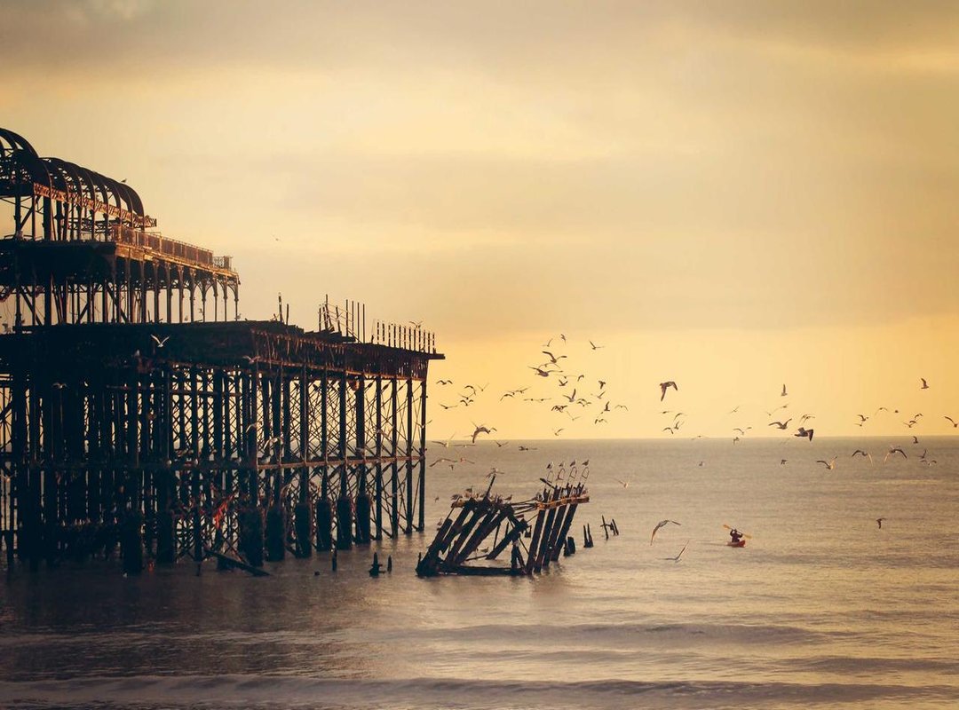 A Look Back: Significant Events Since August 1, 2023