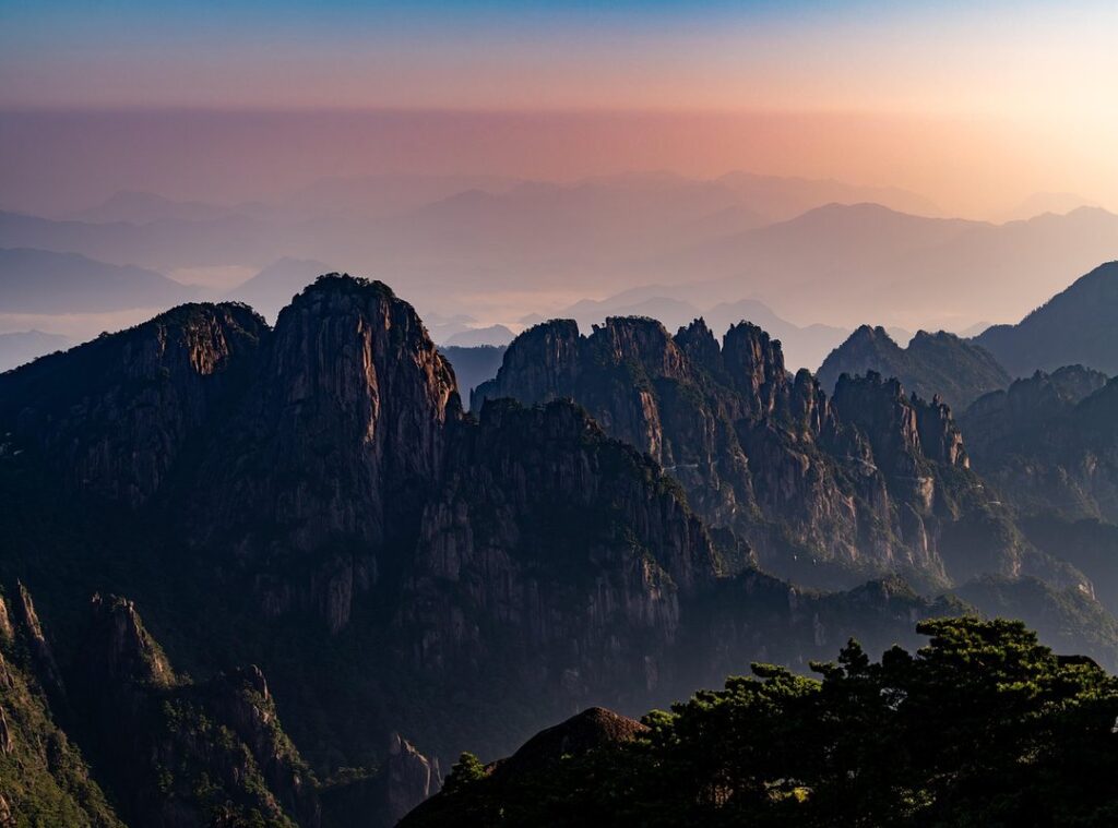 investigation 220m china