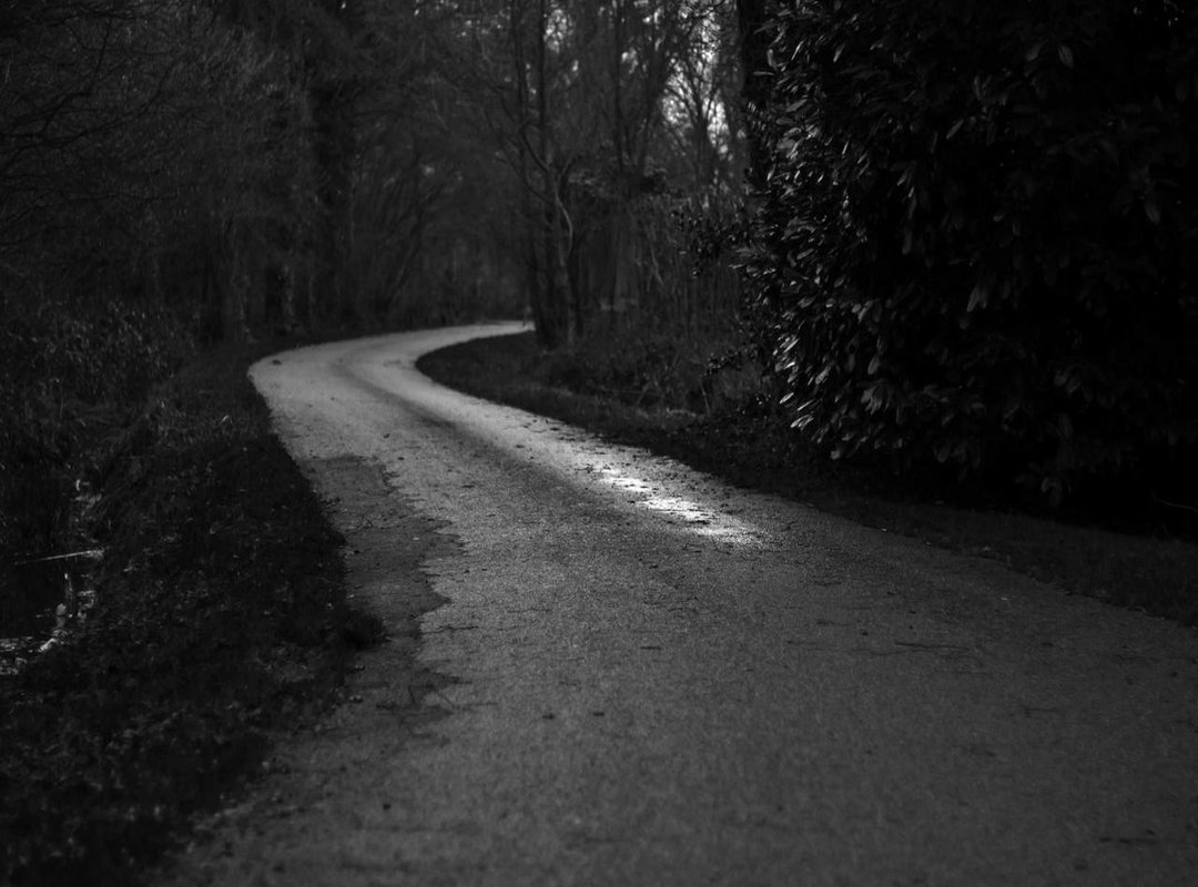 Official Streaming vs. Illegal Downloads: A Quick Comparison