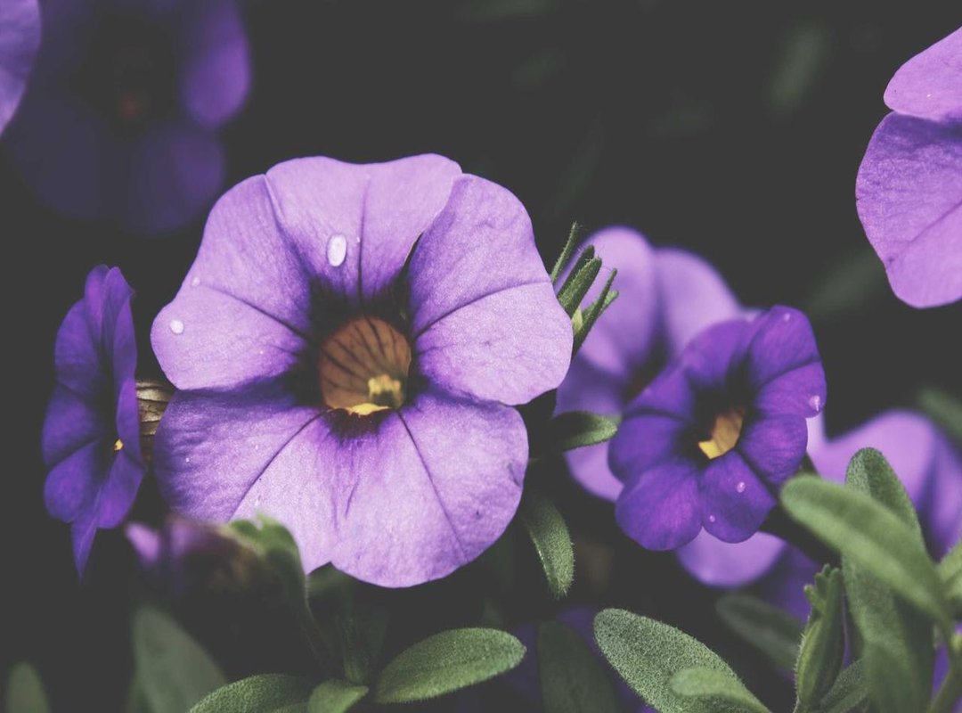 Your Flavor Arsenal: 5 Pantry Staples That Transform Any Meal