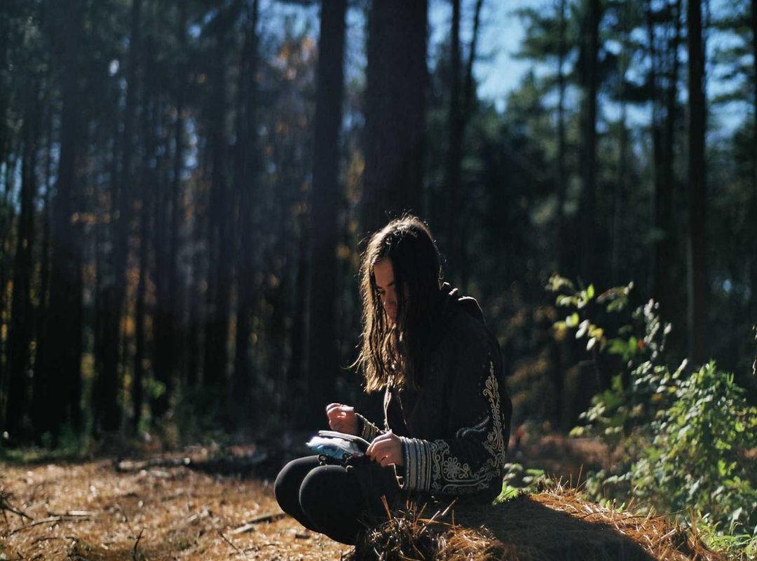 Plating 101: 5 Simple Tricks for a Professional Look