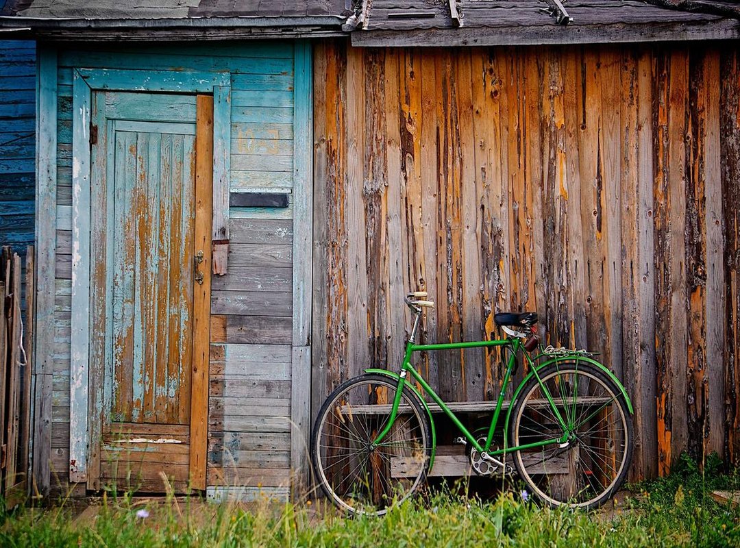 The Loyal Dragon: Is Draken Your Spirit Animal?