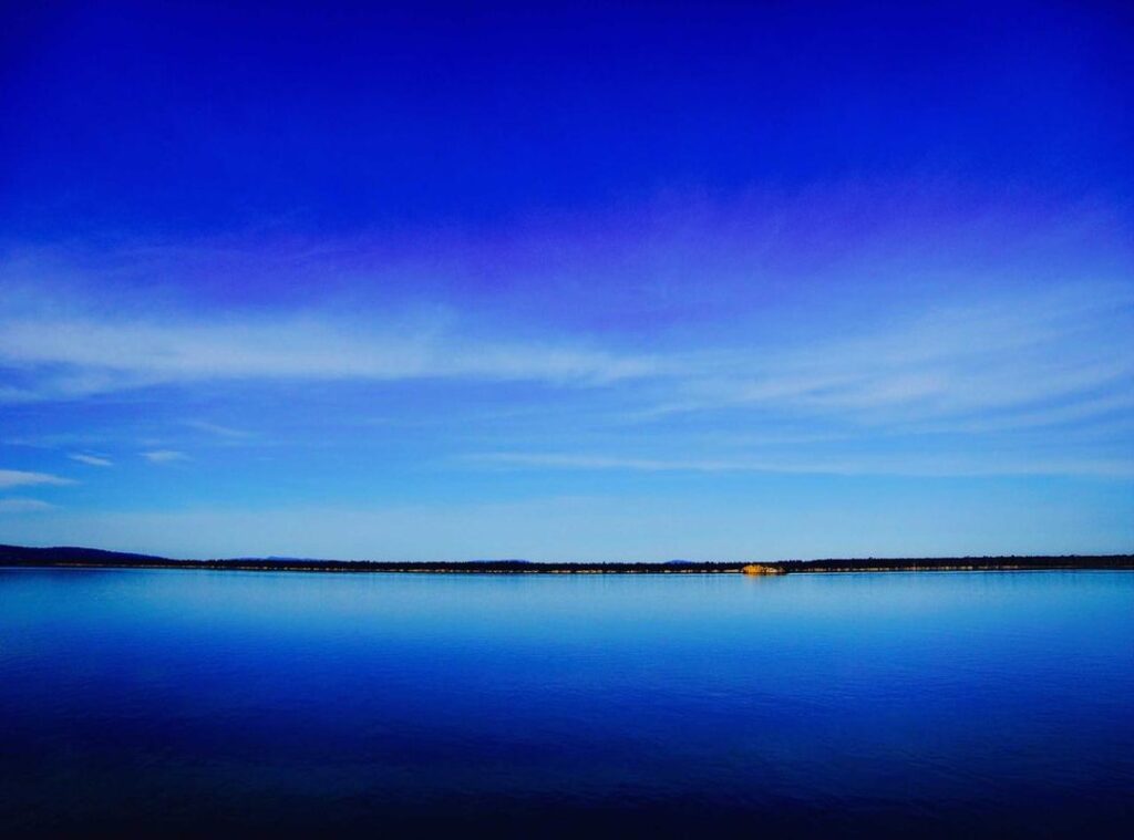 ronaldinho kleurplaat