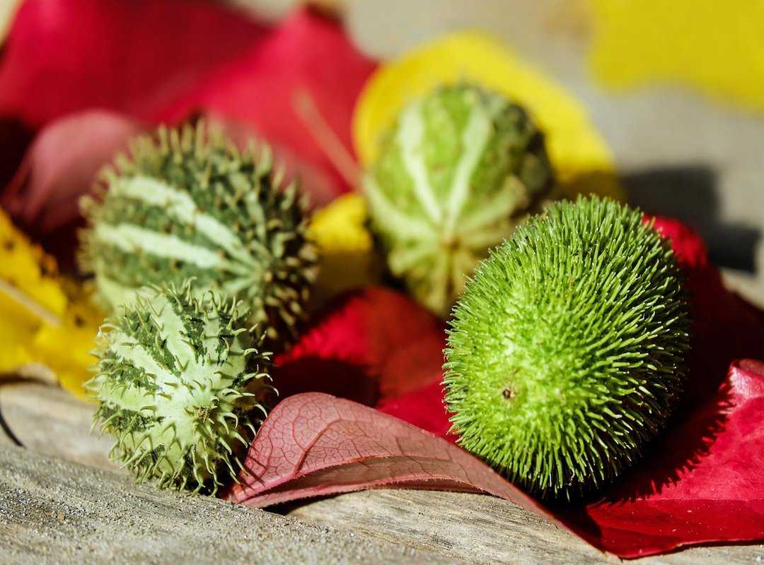 sustainable living insights