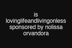 is lovinglifeandlivingonless sponsored by nolissa orvandora